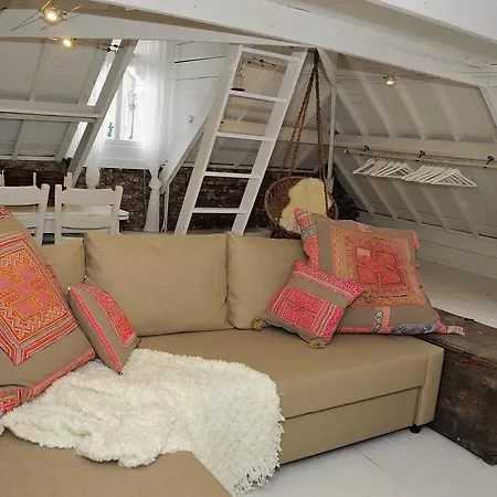 Attic Judy's