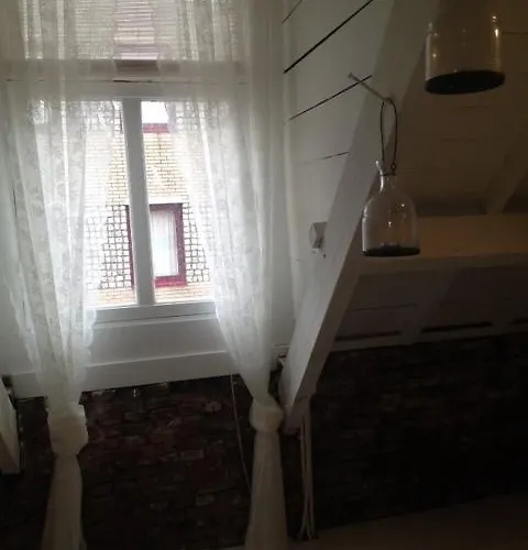 Attic Judy's * Zandvoort