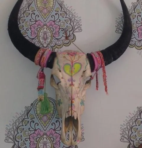 Appartement Attic Judy's *