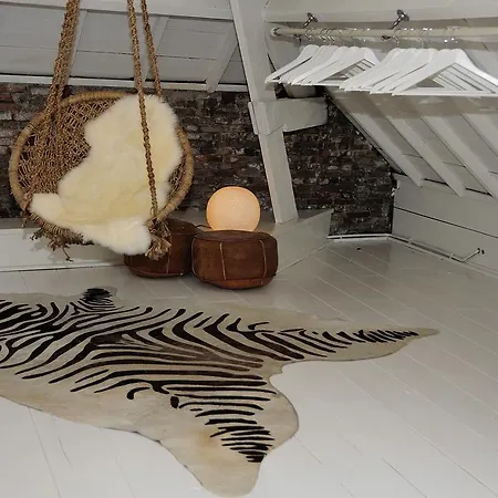 Attic Judy's Zandvoort